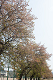 _5015476_thumb.png