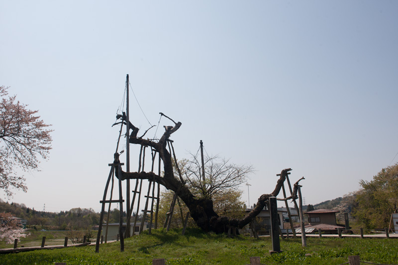 _5015488.jpg