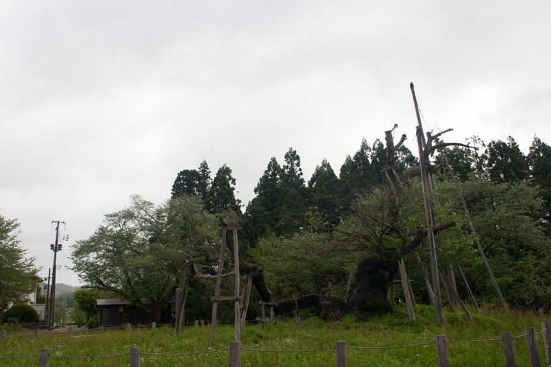 _5015625.jpg