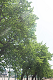 _5015679_thumb.png