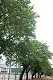 _5015745_thumb.png