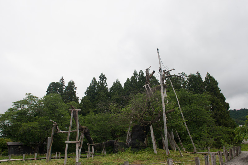 _5015764.jpg