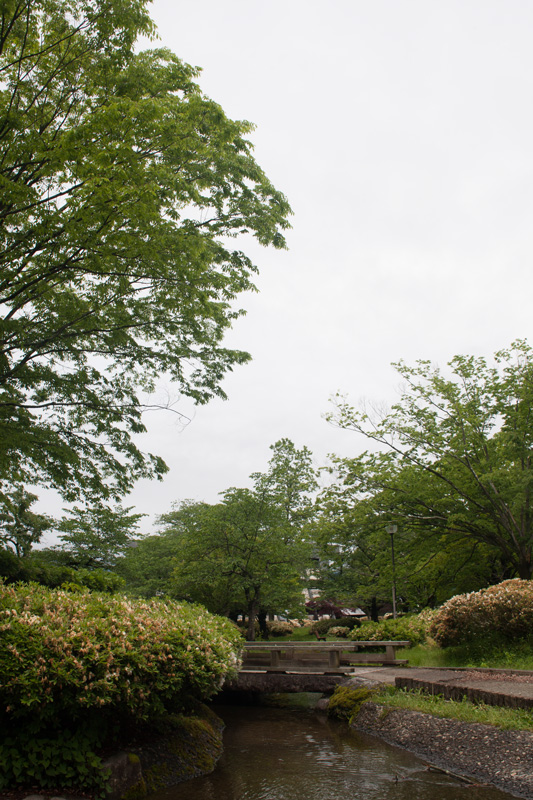 _5015793.jpg