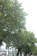 _5015795_thumb.png