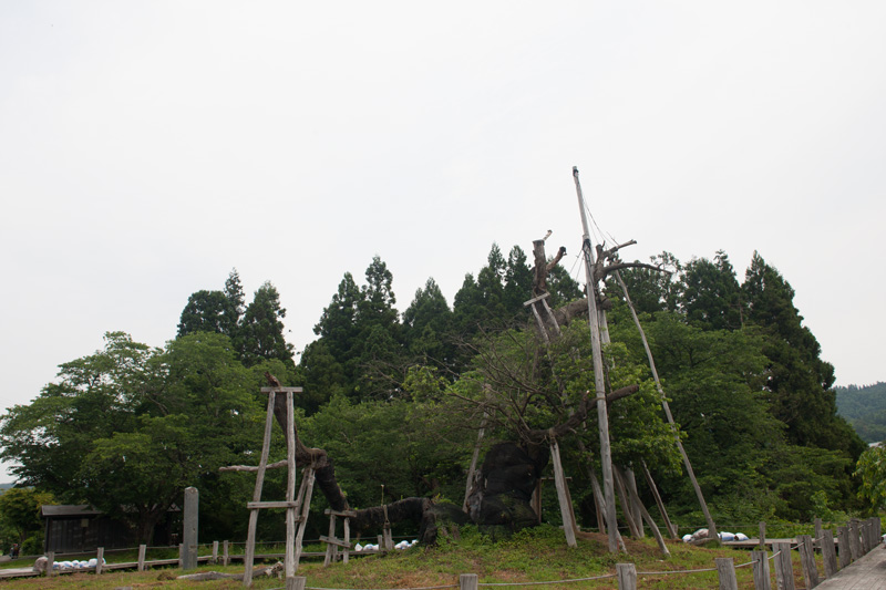 _5015803.jpg