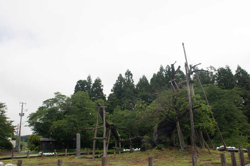 _5015860.jpg
