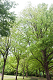 _5015905_thumb.png