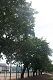 _5015914_thumb.png