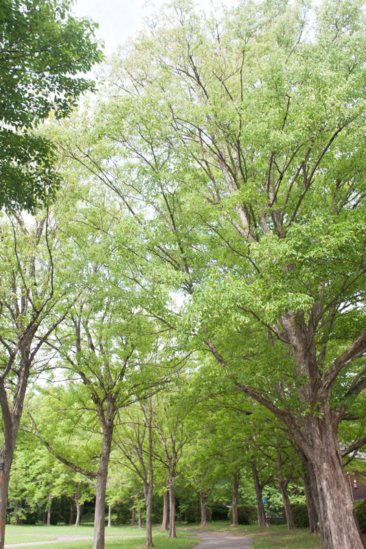 _5015977.jpg