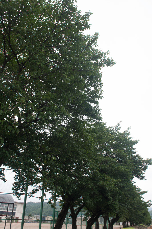 _5016013.jpg