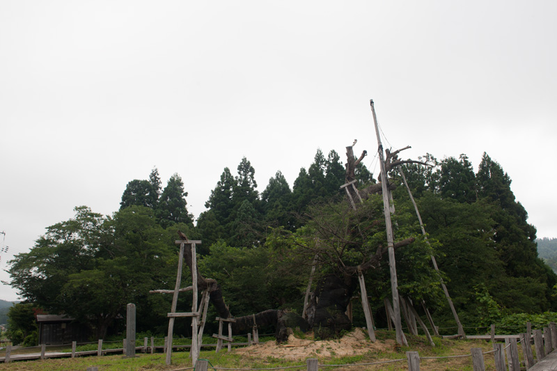 _5016027.jpg