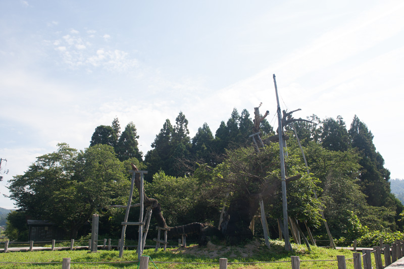 _5016077.jpg