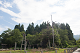 _5016110_thumb.png