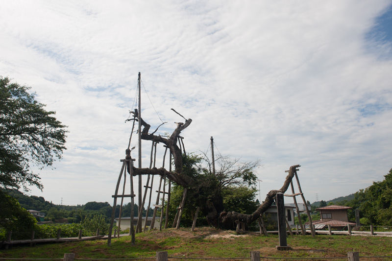 _5016114.jpg