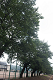 _5016132_thumb.png