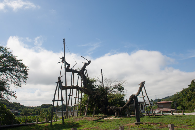 _5016142.jpg