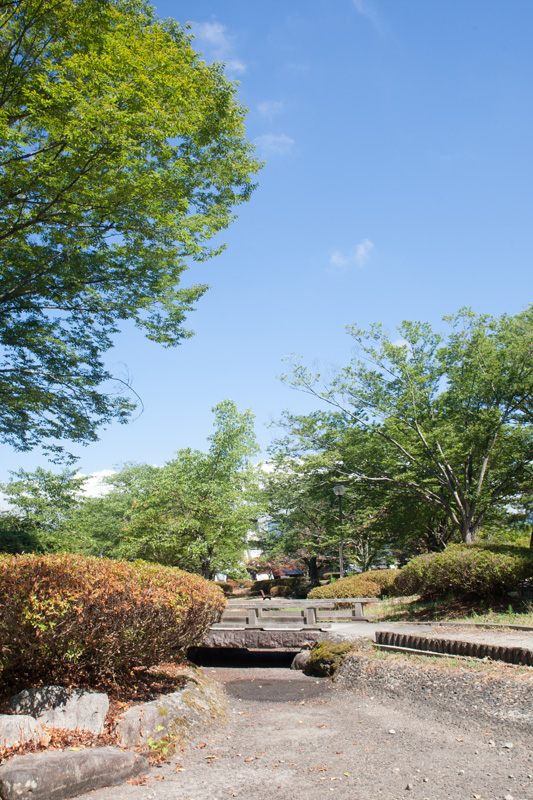 _5016198.jpg