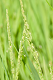 _5016204_thumb.png