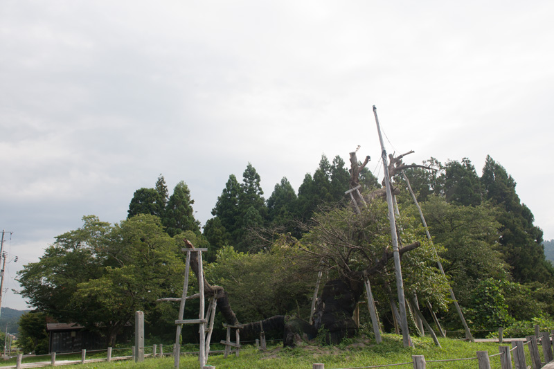 _5086408.jpg