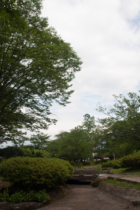 _5016012.jpg