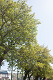 _6037947_thumb.png