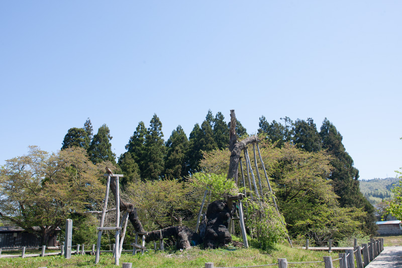 _6037964.jpg