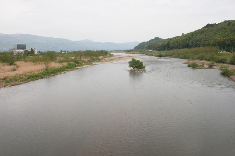 _6038042.jpg