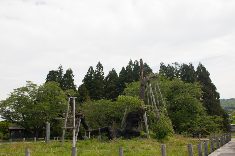 _6038045.jpg