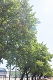 _6038131_thumb.png
