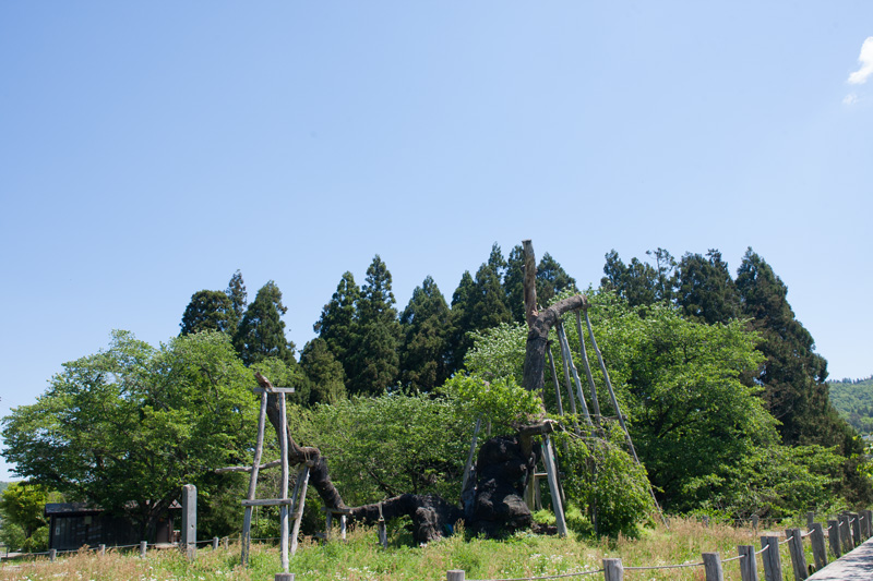 _6038155.jpg