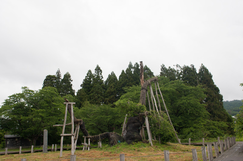 _6038240.jpg