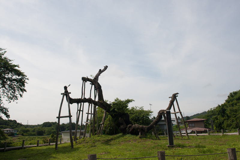 _6038290.jpg