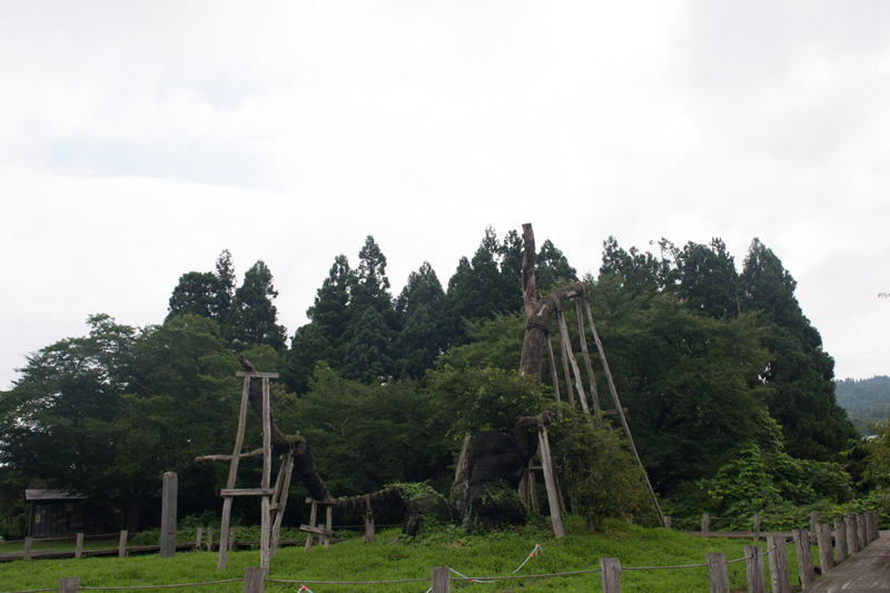 _6038415.jpg