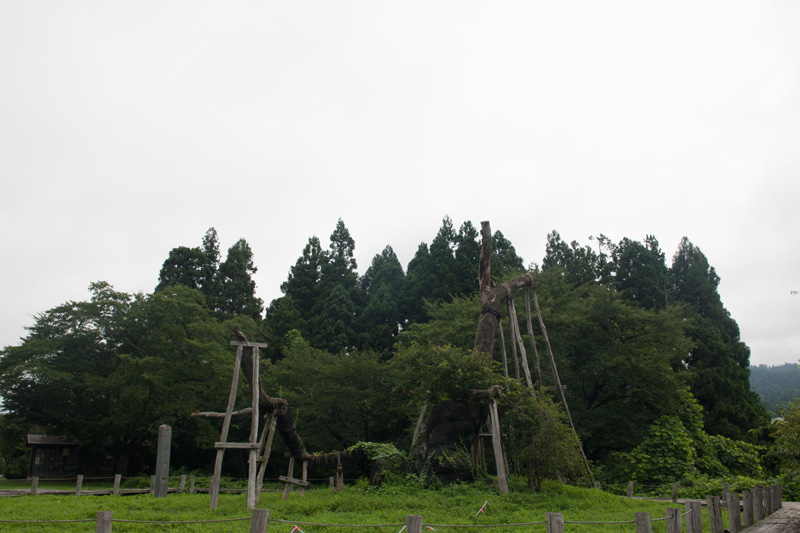 _6038549.jpg
