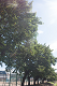 _6038657_thumb.png