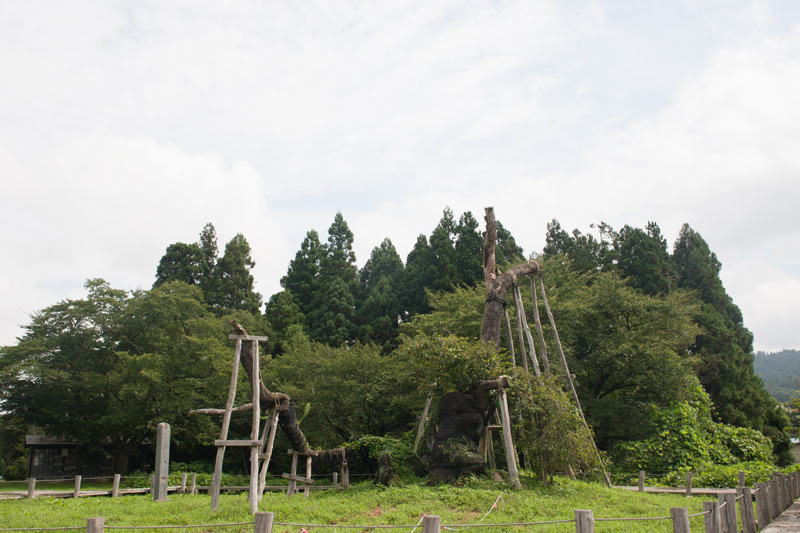 _6038740.jpg