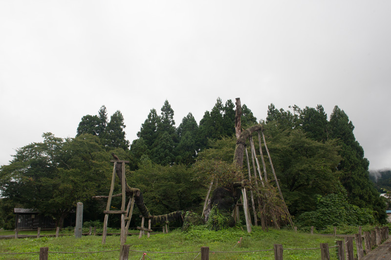 _6039174.jpg