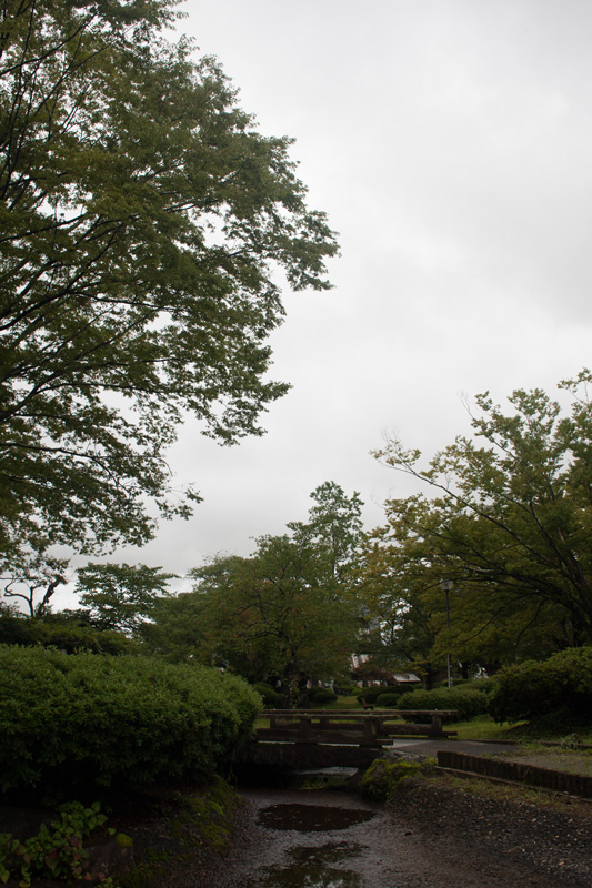 _6039263.jpg