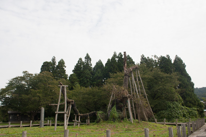 _6039289.jpg