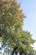 _6039555_thumb.png